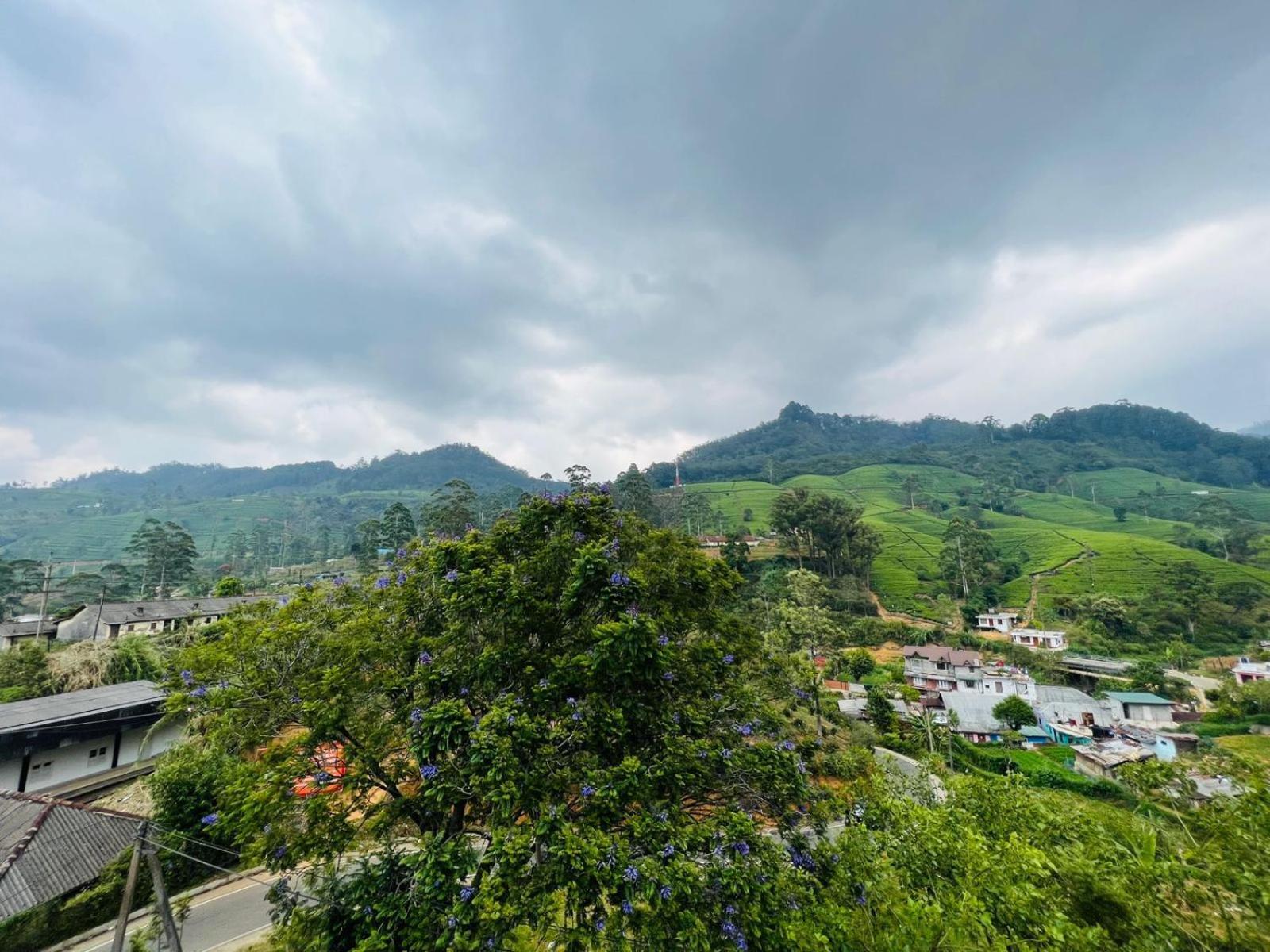 Dream Stay Green Nuwara Eliya Zewnętrze zdjęcie